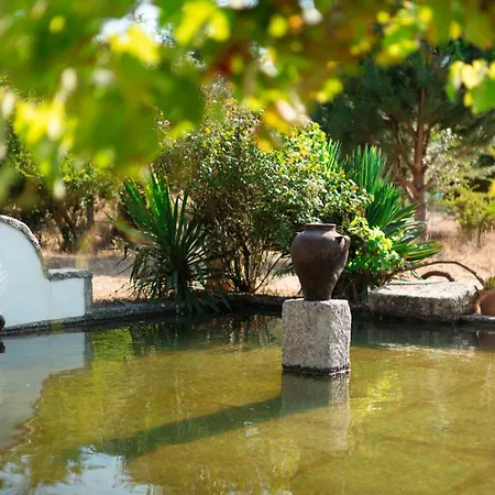 Regada - Relaxing Getaway In Spacious Farmland Chalet Fornos de Algodres
